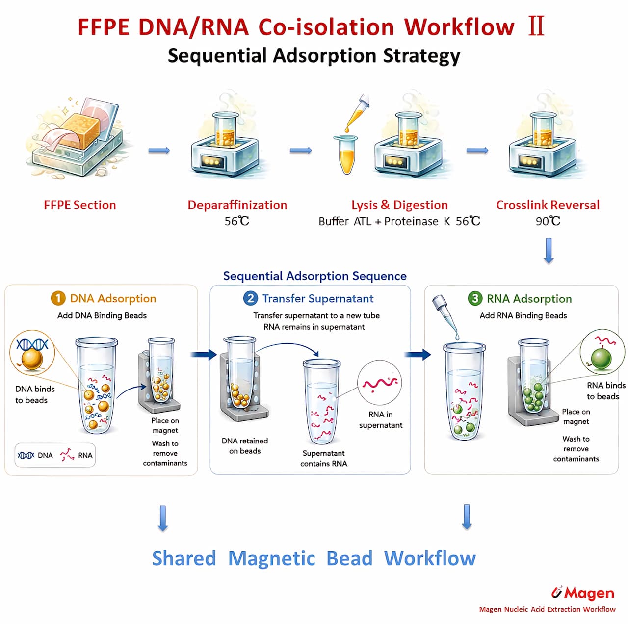 FFPE DNA RNA coisolation workflow FFPE DNA RNA coisolation workflow